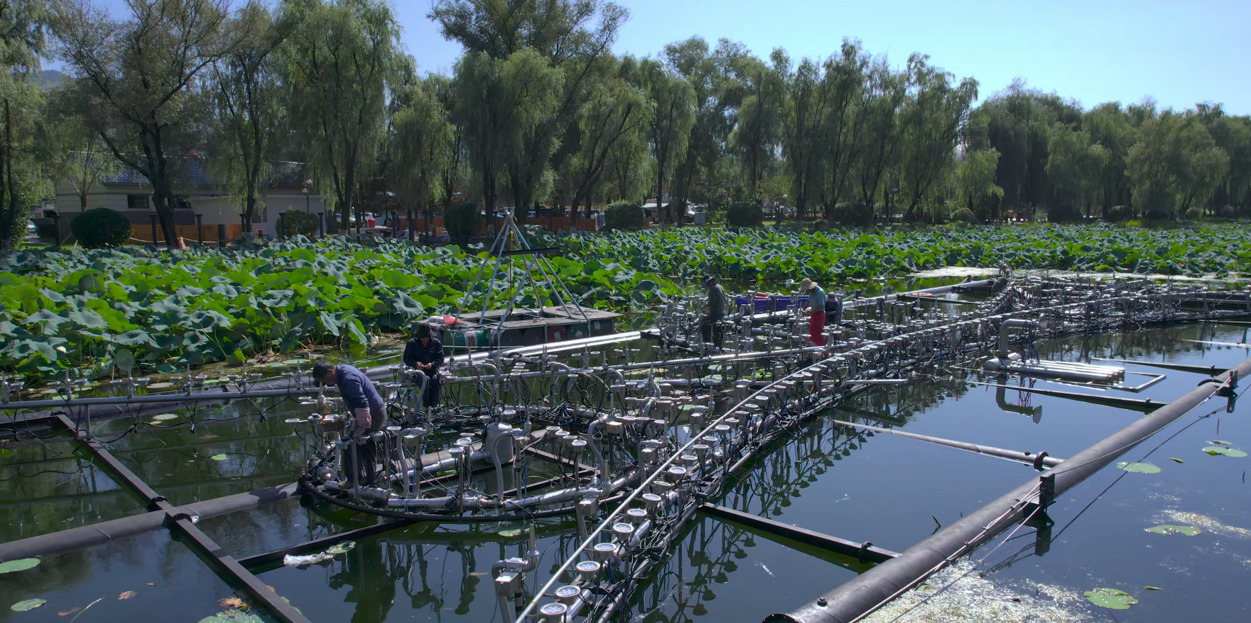 Jian Lotus Lake Fountain(2025)5